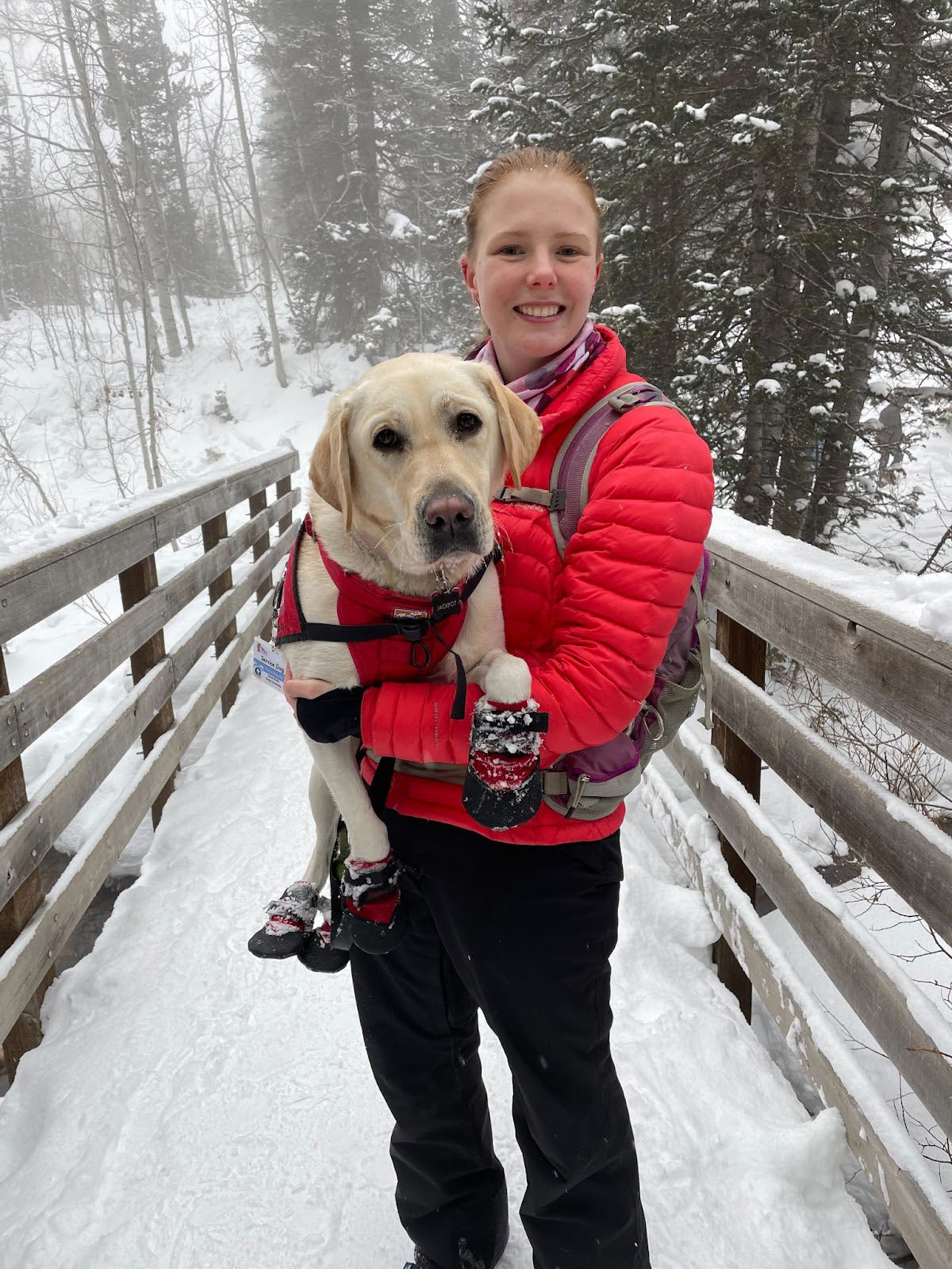 Jessie holding Koko, a service dog, on a snowy bridge