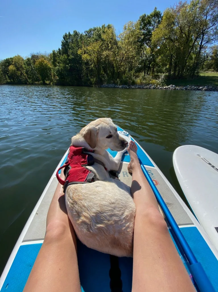 Jessie and service dog on a paddle board